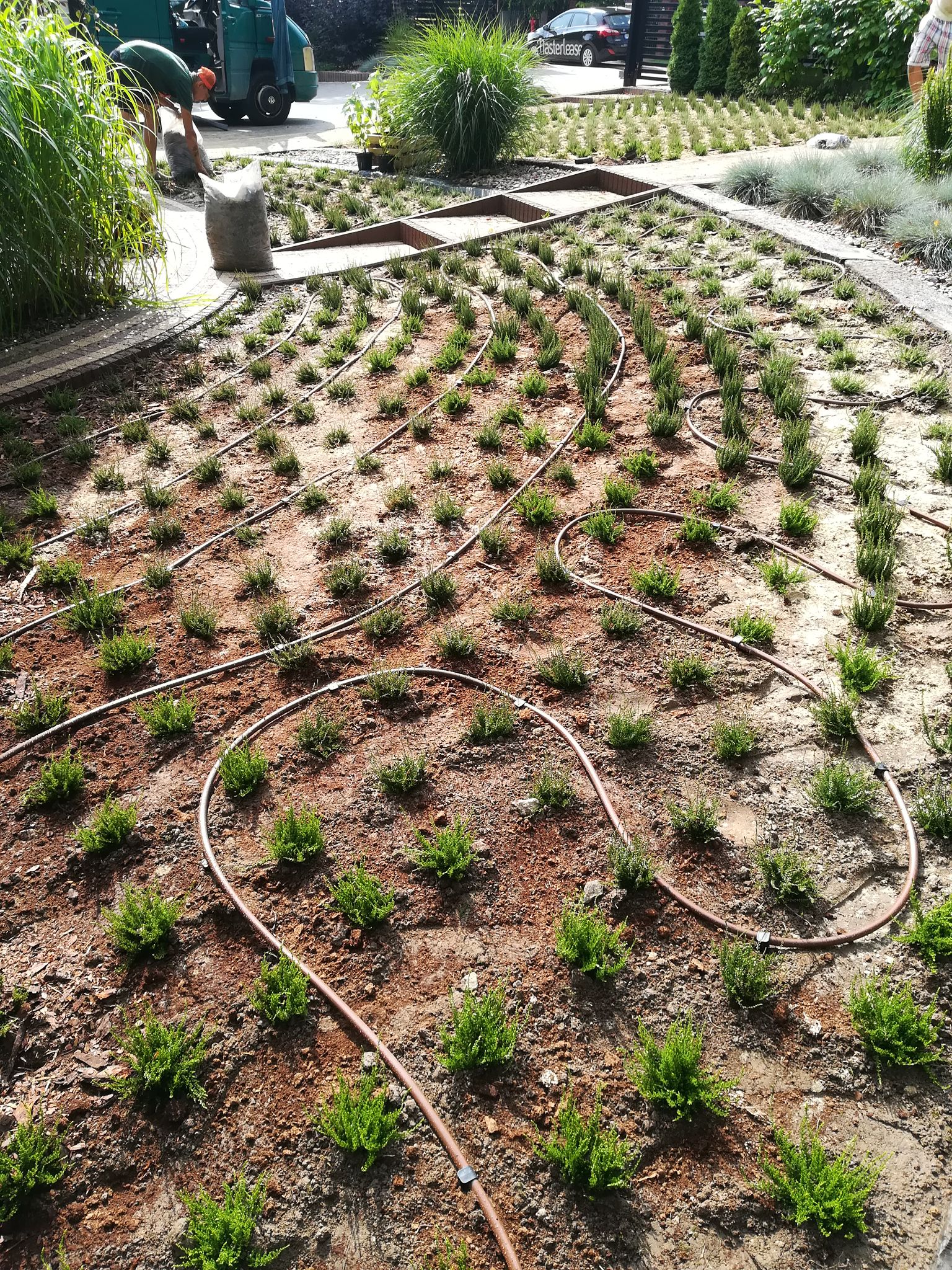 Ogród geometryczny – jak go stworzyć ?