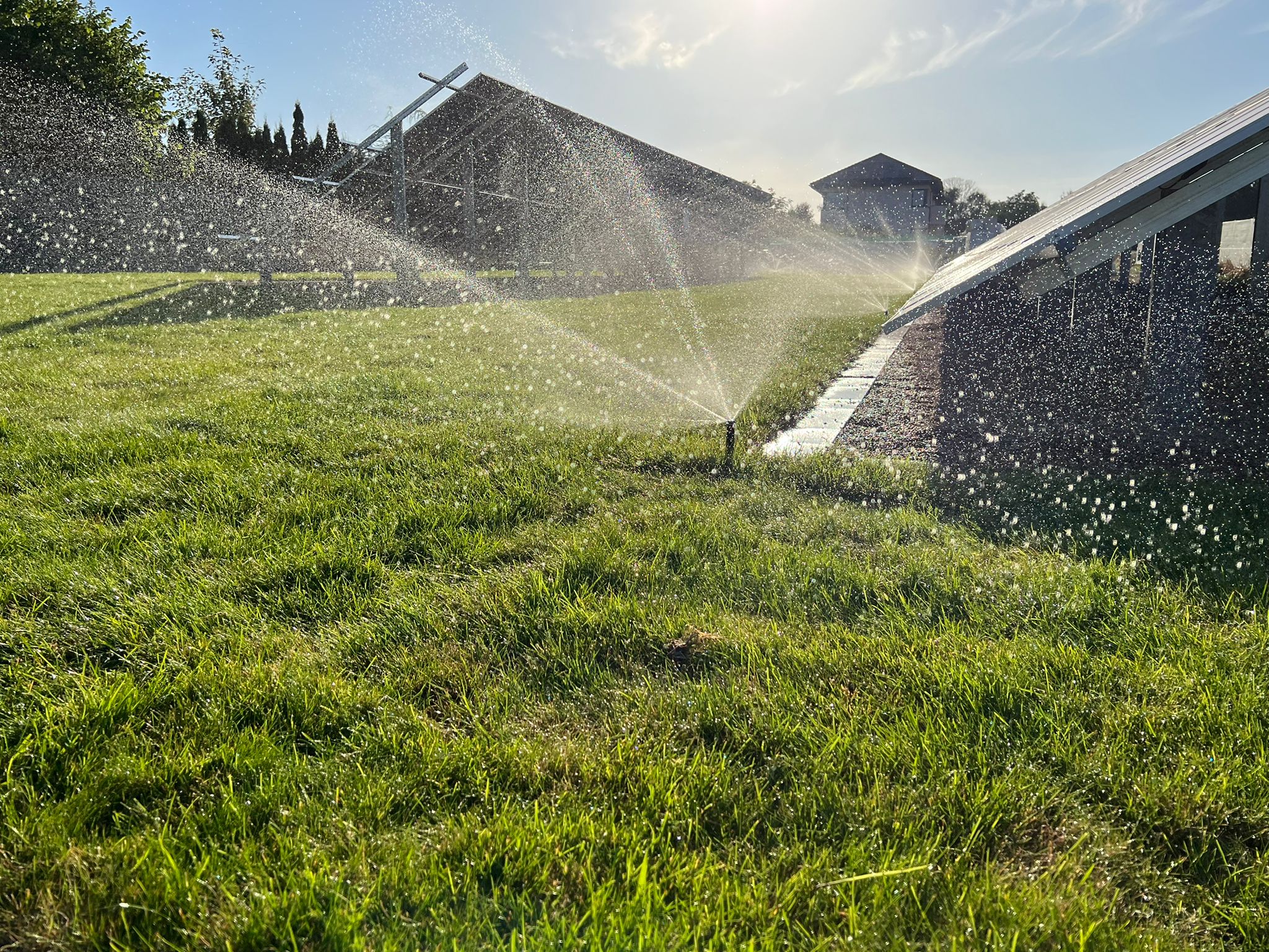 Jak zrobić nawadnianie trawnika ?