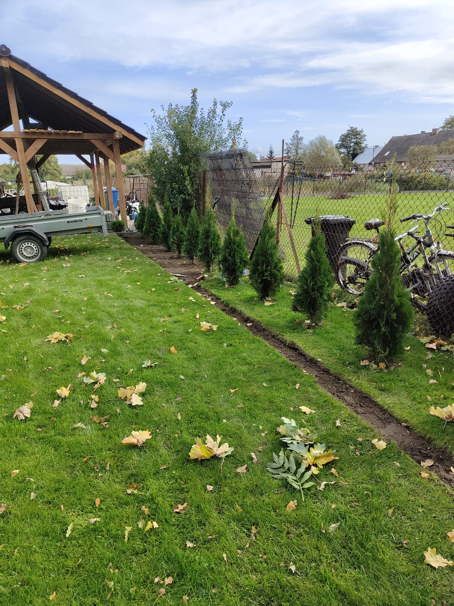 Jak oszczędzać wodę w ogrodzie ?