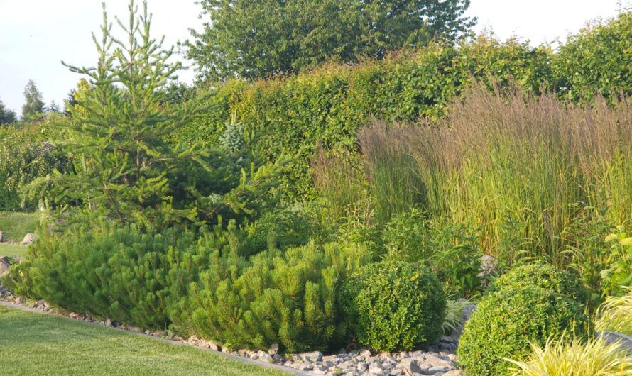 Podlewanie krzewów i traw ozdobnych